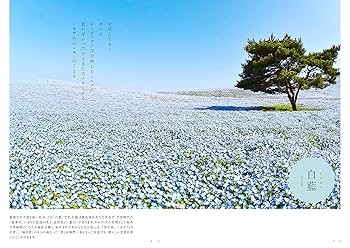 日本の色 写真集 講談社 四季彩図鑑 〜写真でつづる日本の伝統色 | 北山建穂, 永方佑樹